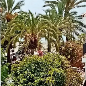 Lägenhet Beach Old Town, Estepona