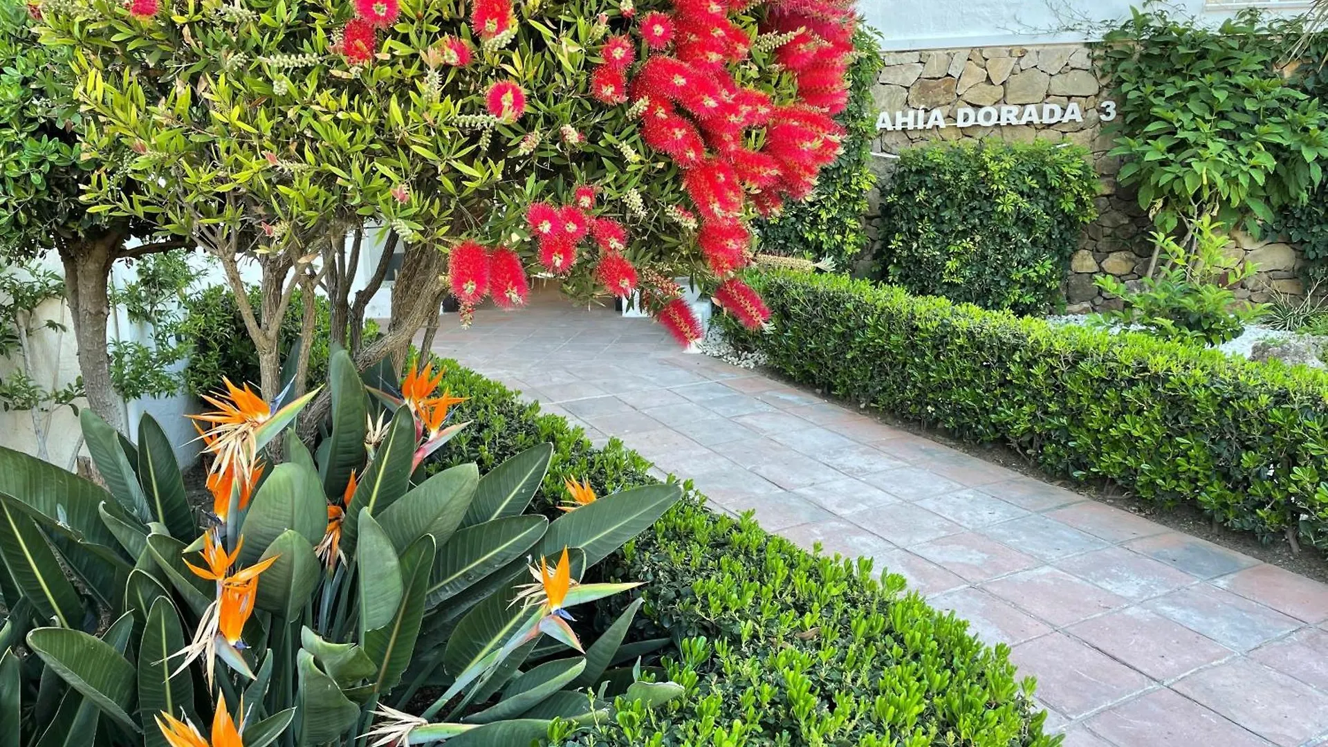 La Casa De Colores إِستيبونا 0*,  إسبانيا